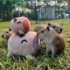 Capybara Pillow (1ft) 10 Capybara Pillow (1ft) -Hot Sale Youtooz Store capybara photo irl nologo square nh 19 jnvq