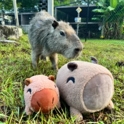 Capybara Pillow (1ft) 11 Capybara Pillow (1ft) -Hot Sale Youtooz Store capybara photo irl nologo square nh 28 wxdy