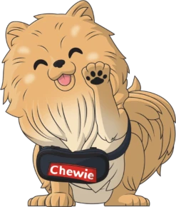 Chewie The Pomeranian