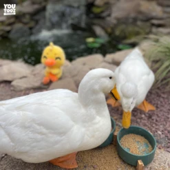 Duck This Plush (9in) 11 Duck This Plush (9in) -Hot Sale Youtooz Store duckthis plush photoedit square nh 08 583i