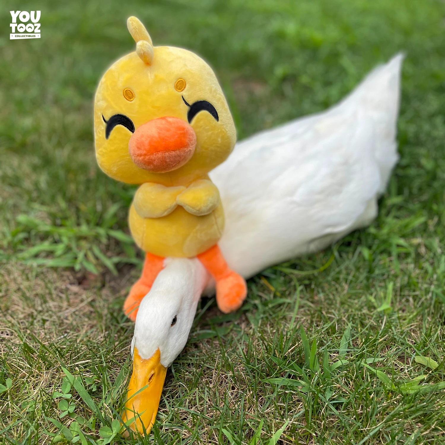 Duck This Plush (9in) 6 Duck This Plush (9in) - Image 6