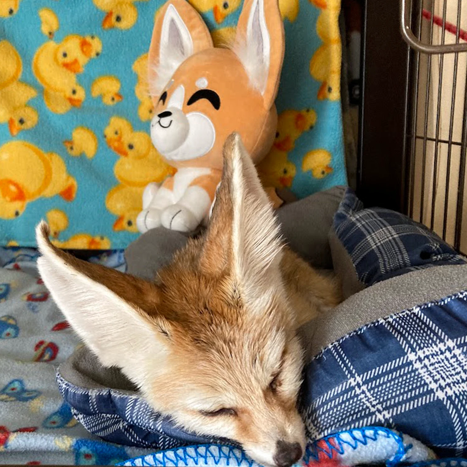 Fennec Fox Plush (9in) 3 Fennec Fox Plush (9in) - Image 3