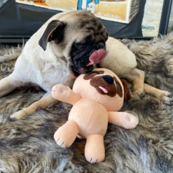 Pug Splatt Plush (9in) 14 Pug Splatt Plush (9in) -Hot Sale Youtooz Store pugsplatt plush photoedit nologo square nh 06 9vzp
