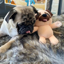 Pug Splatt Plush (9in) 15 Pug Splatt Plush (9in) -Hot Sale Youtooz Store pugsplatt plush photoedit nologo square nh 09 8ks2